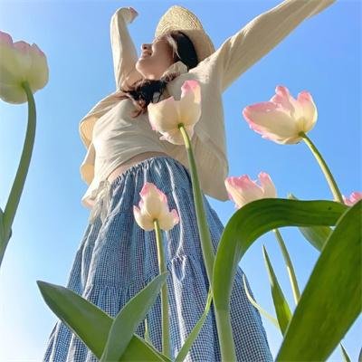 麒麟之翼