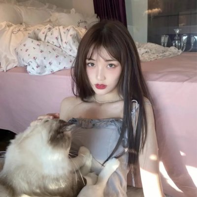 鬣狗之城