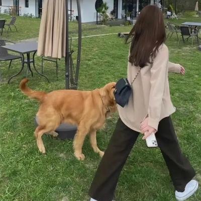 谁的木琴